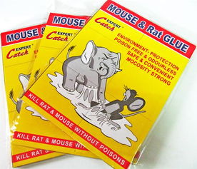 厂家直销环保外贸粘鼠胶板——义乌市绿亚日用品厂，一站式采购指南